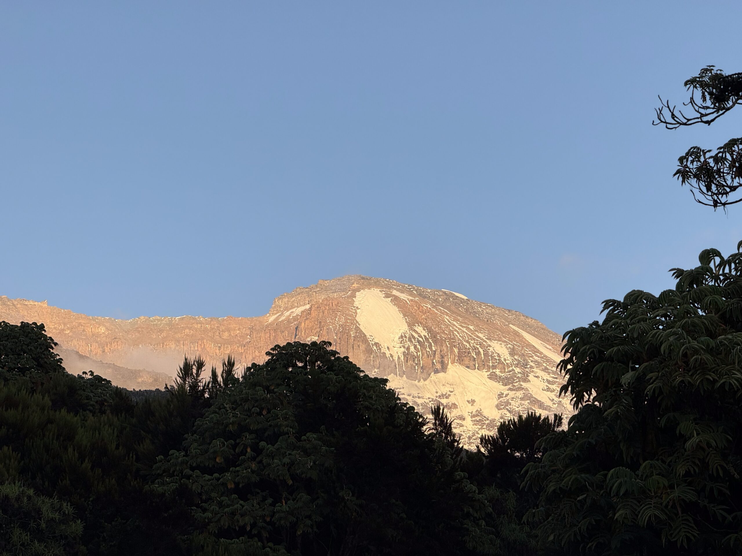 Day 2 on Kilimangaro