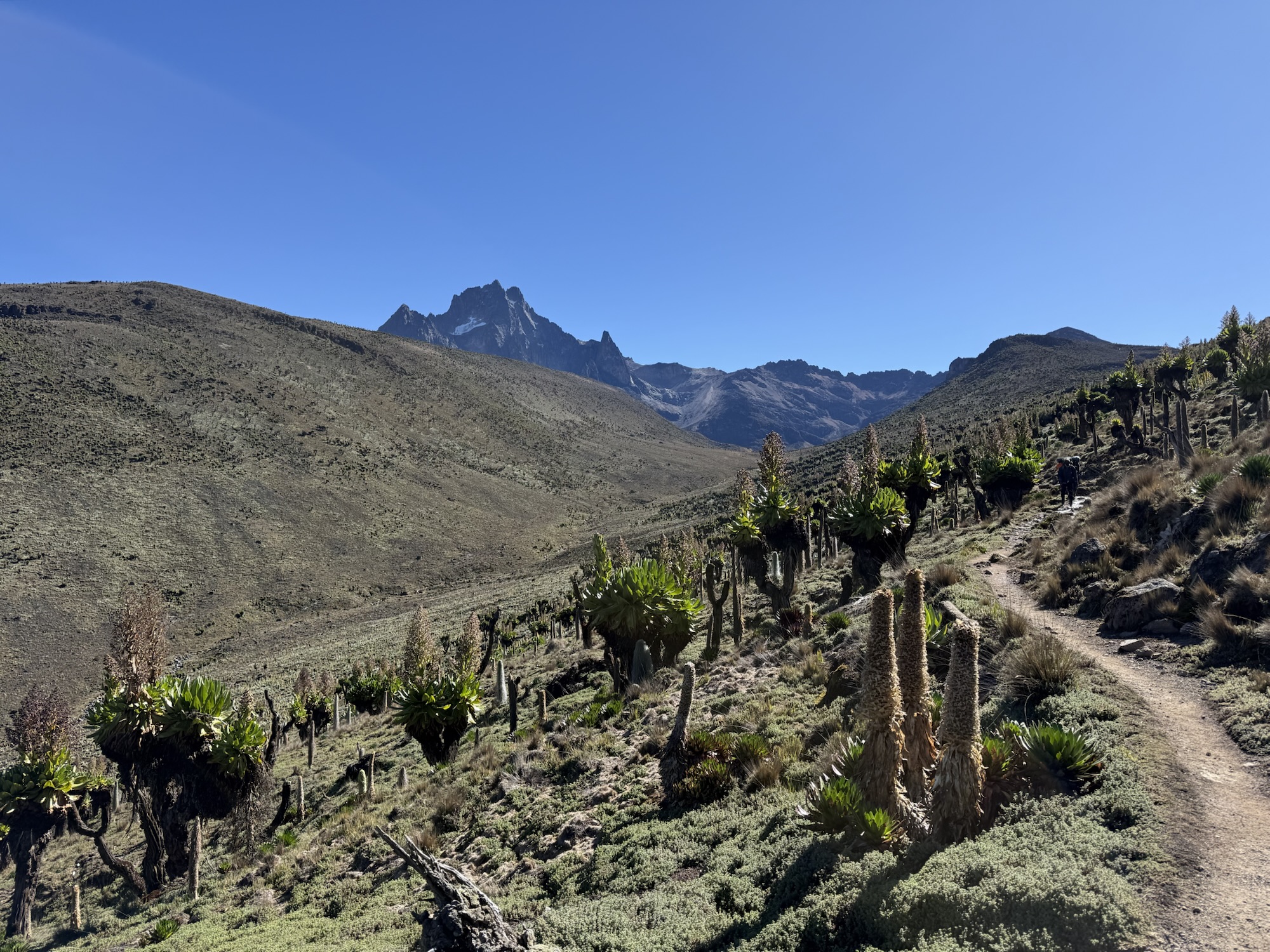 Final thoughts on both Kilimanjaro and Mt Kenya